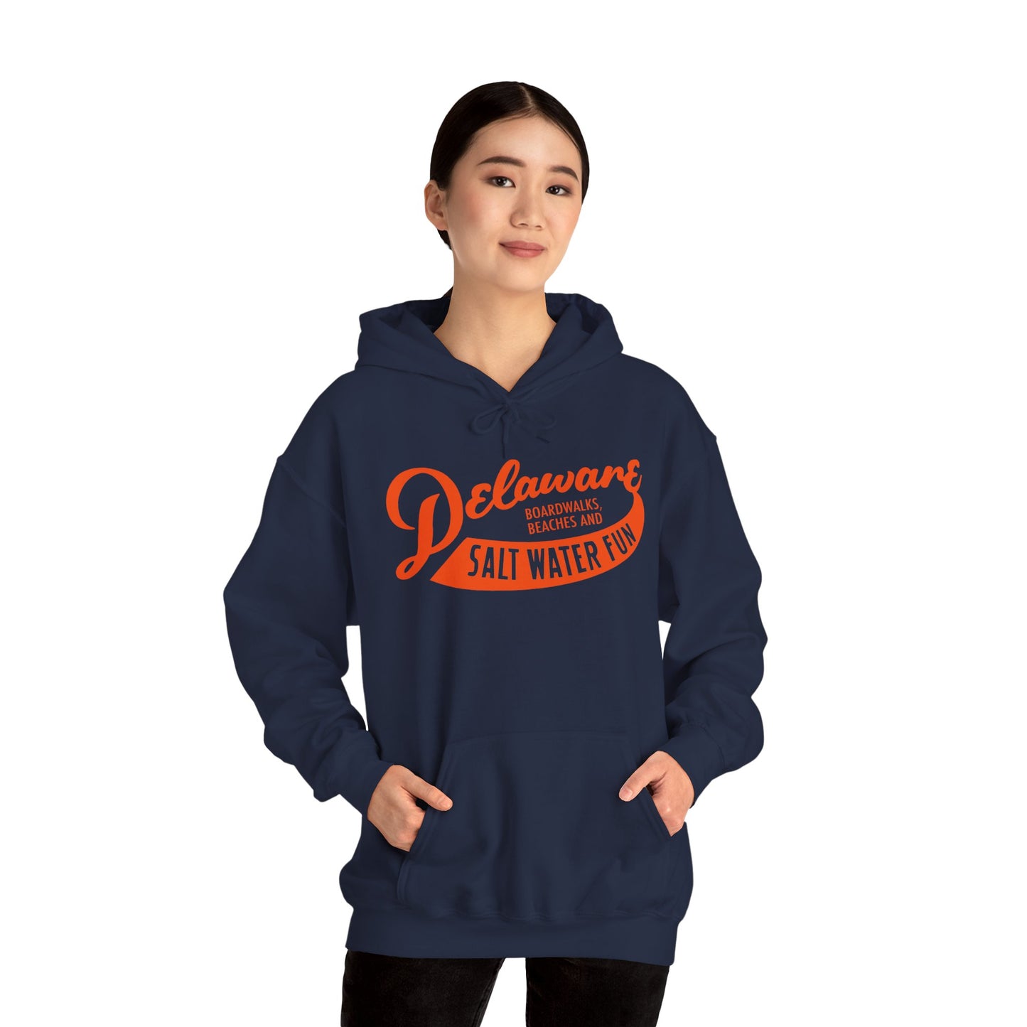 Delaware Salt Water Fun Hoodie