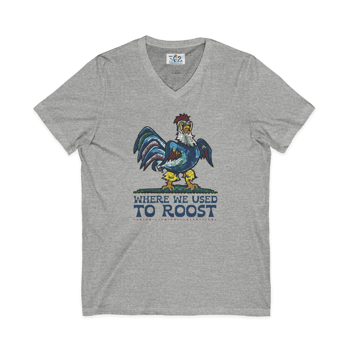Where We Used To Roost - Dover Blue Hen Mall V-Neck Tee