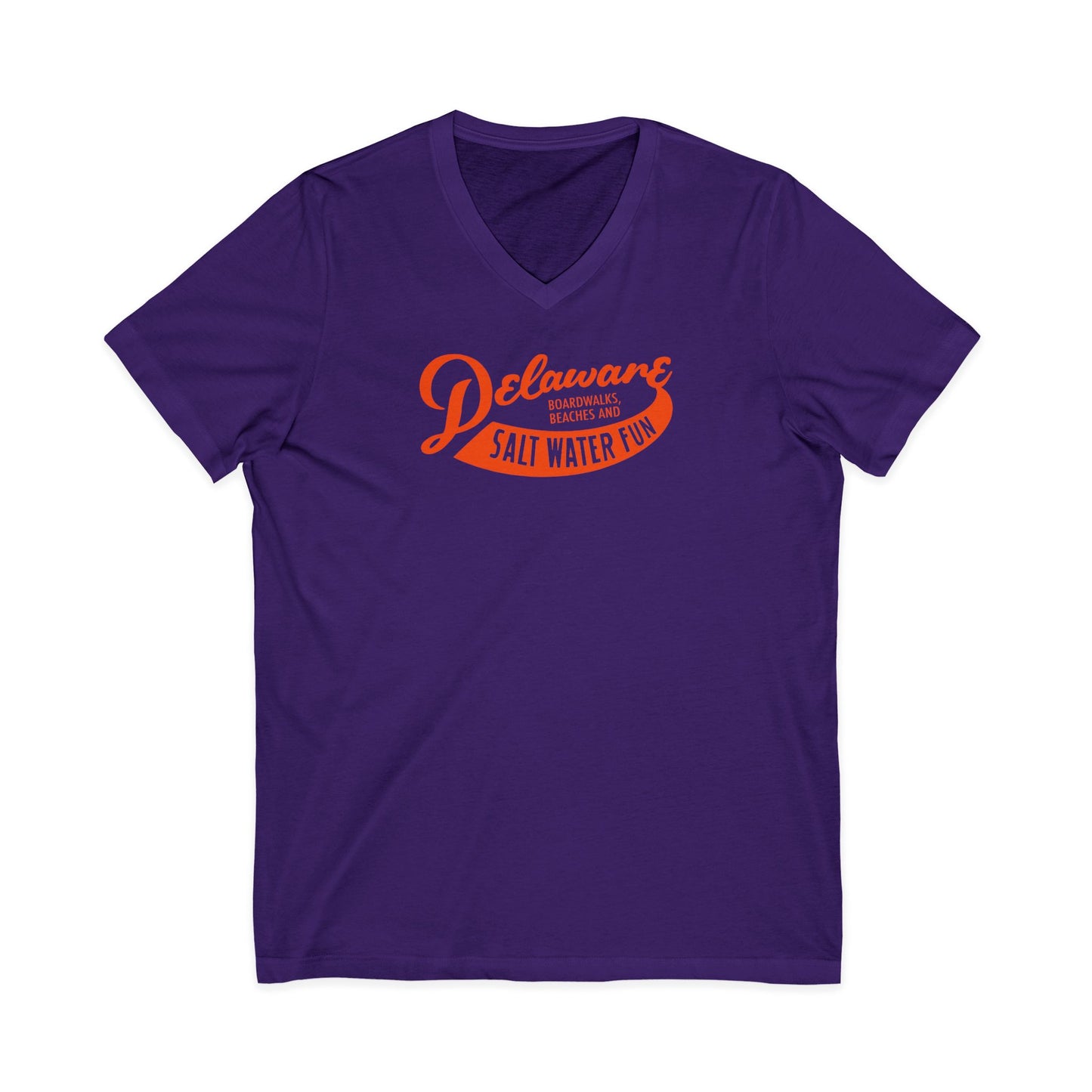Delaware Salt Water Fun V-Neck Tee