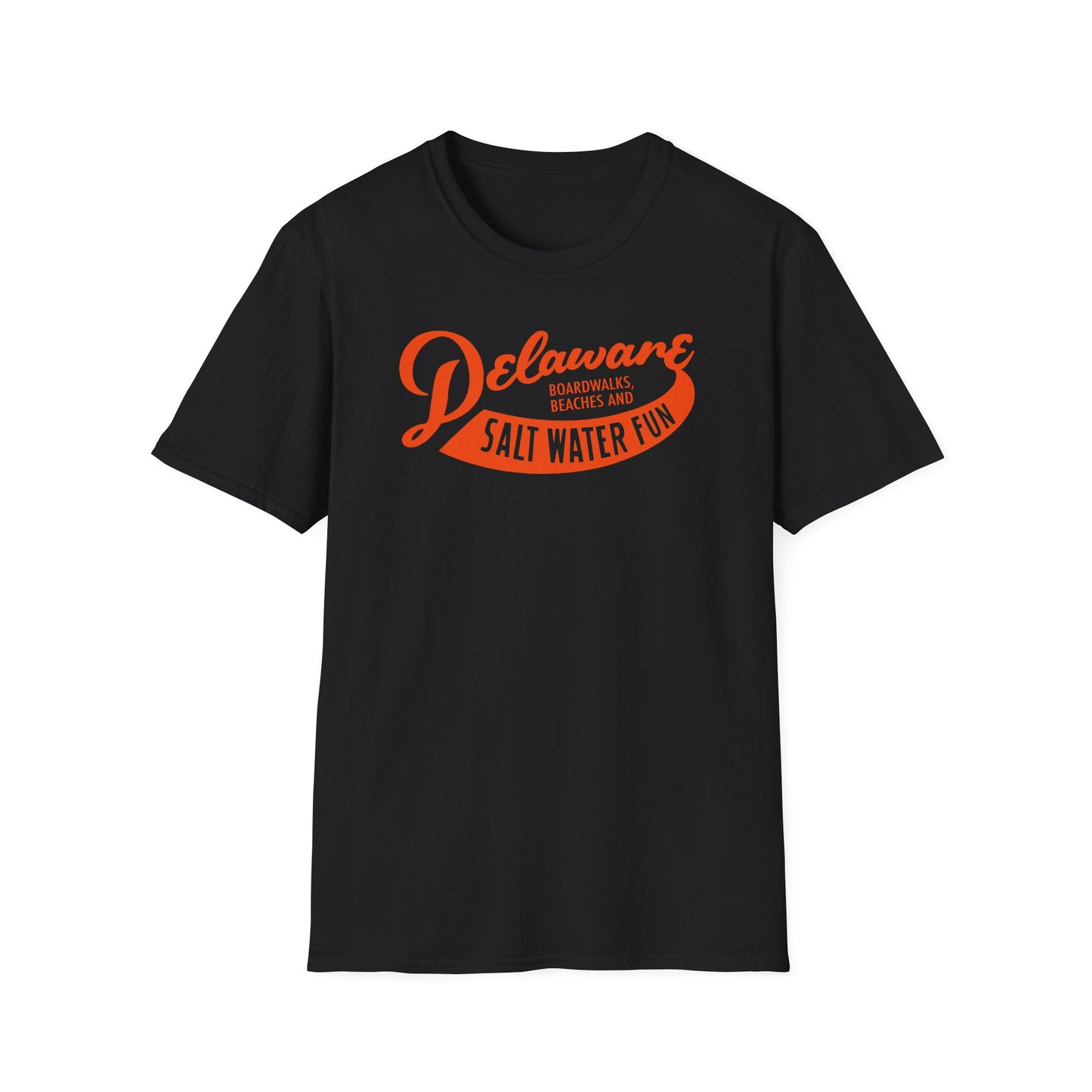 Delaware Salt Water Fun Shirt
