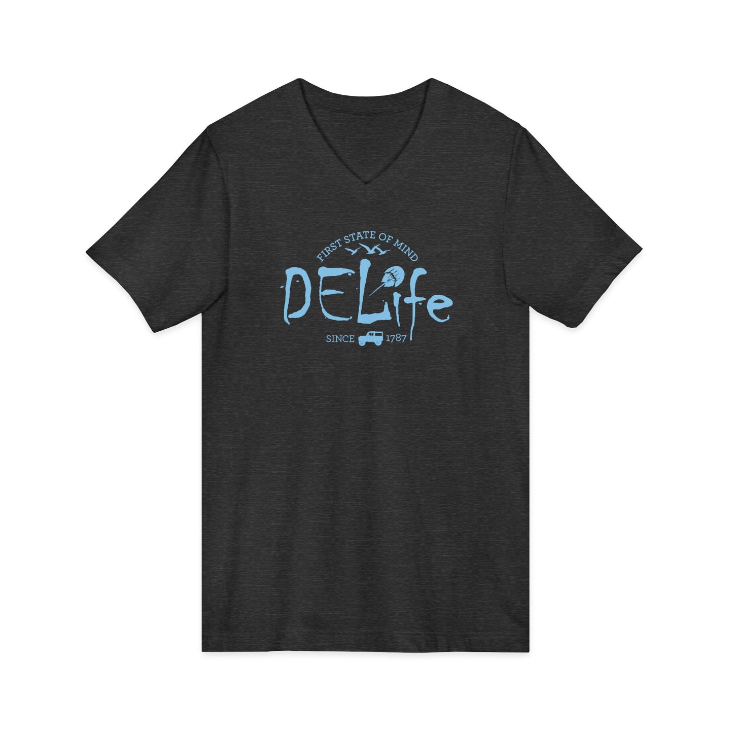 Delaware DELife V-Neck Tee