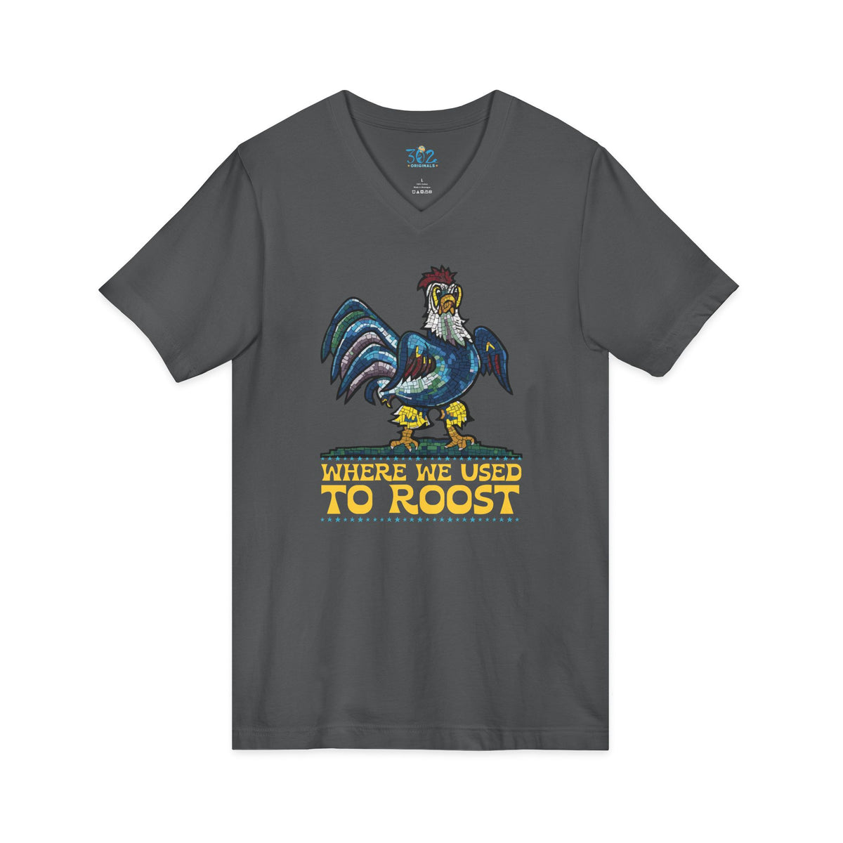 Where We Use To Roost - Dover Blue Hen Mall V-Neck Tee