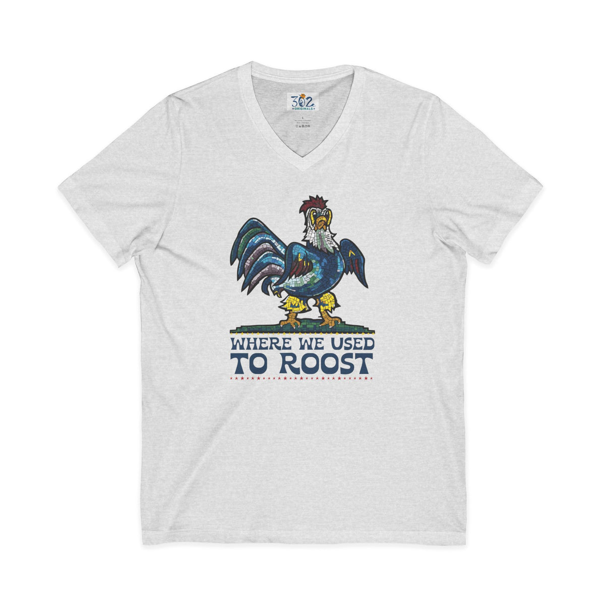 Where We Used To Roost - Dover Blue Hen Mall V-Neck Tee