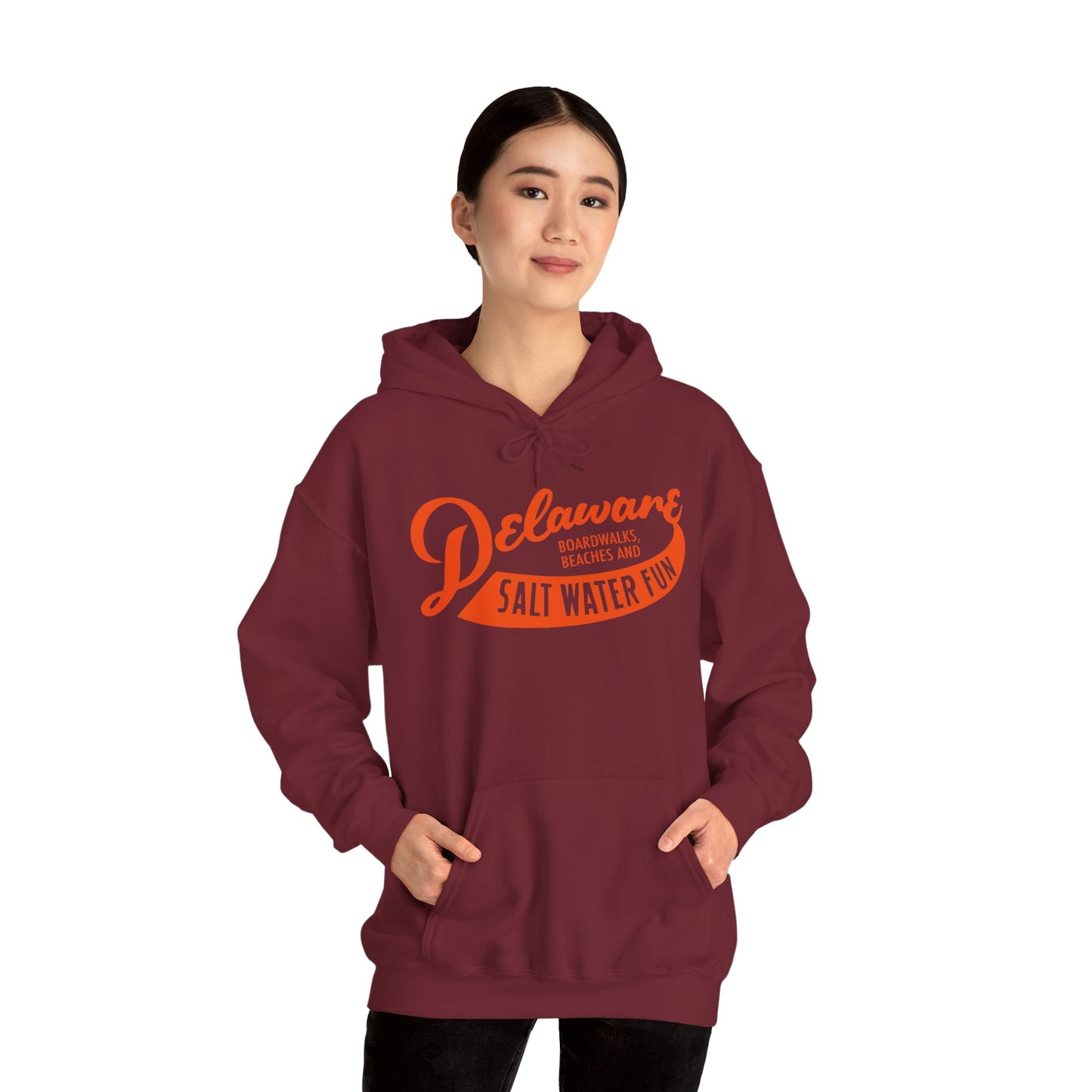Delaware Salt Water Fun Hoodie