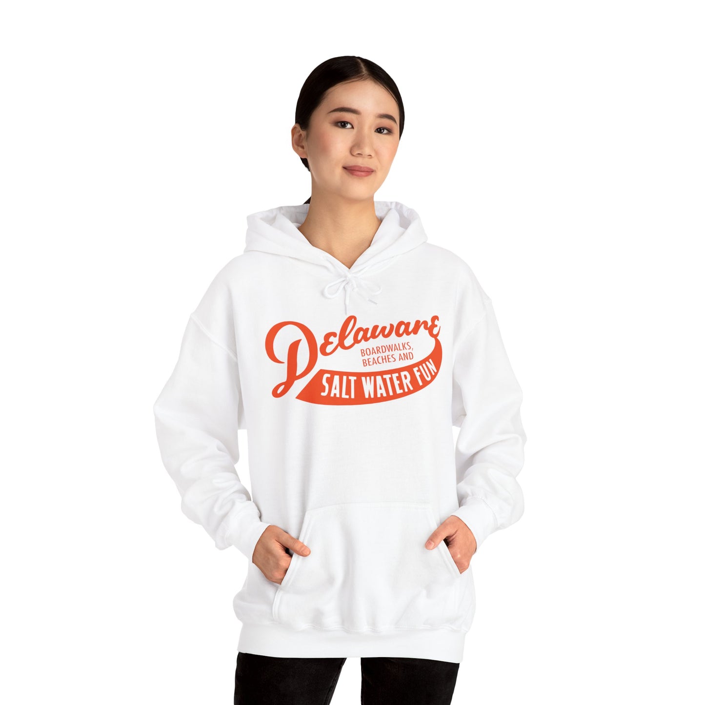 Delaware Salt Water Fun Hoodie