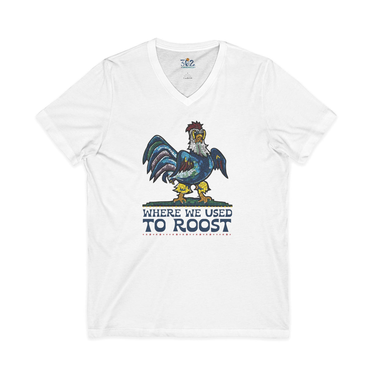 Where We Used To Roost - Dover Blue Hen Mall V-Neck Tee