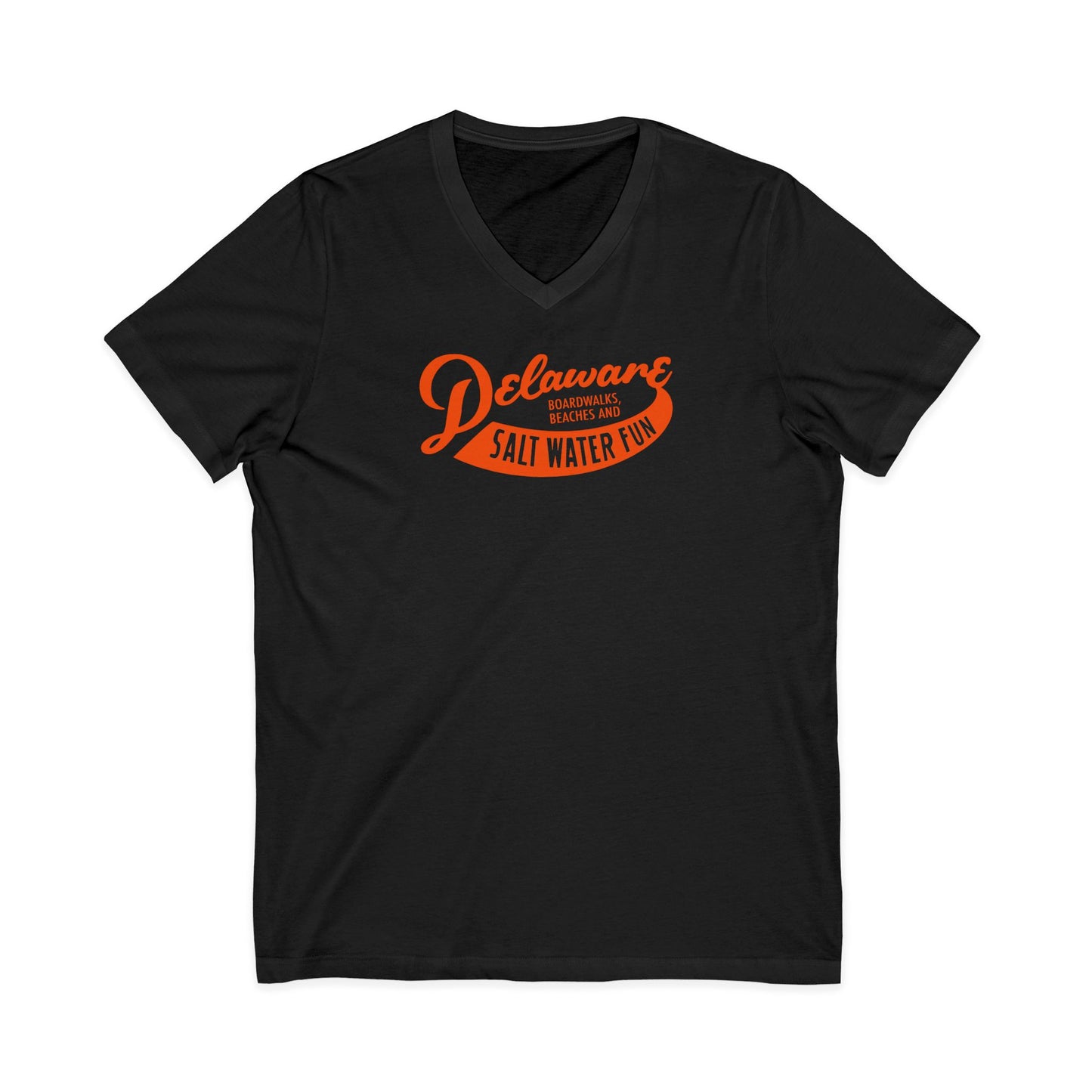 Delaware Salt Water Fun V-Neck Tee