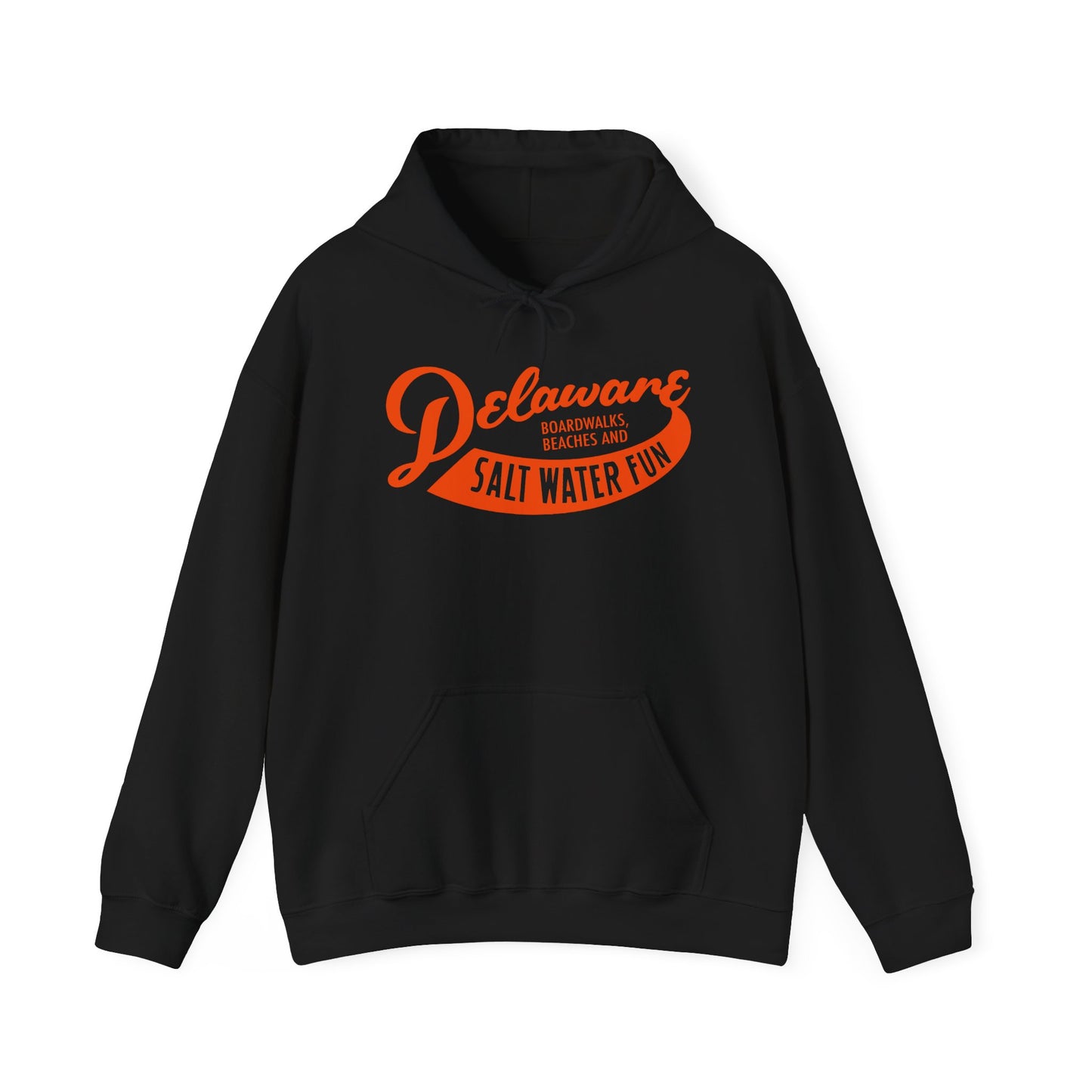 Delaware Salt Water Fun Hoodie
