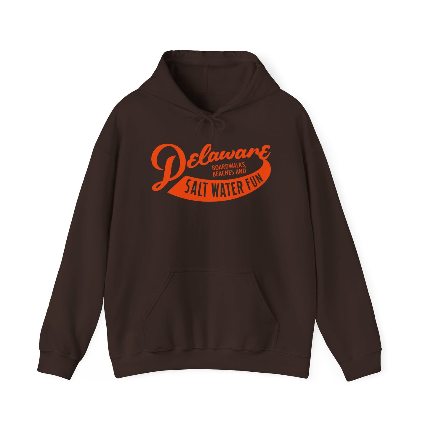 Delaware Salt Water Fun Hoodie