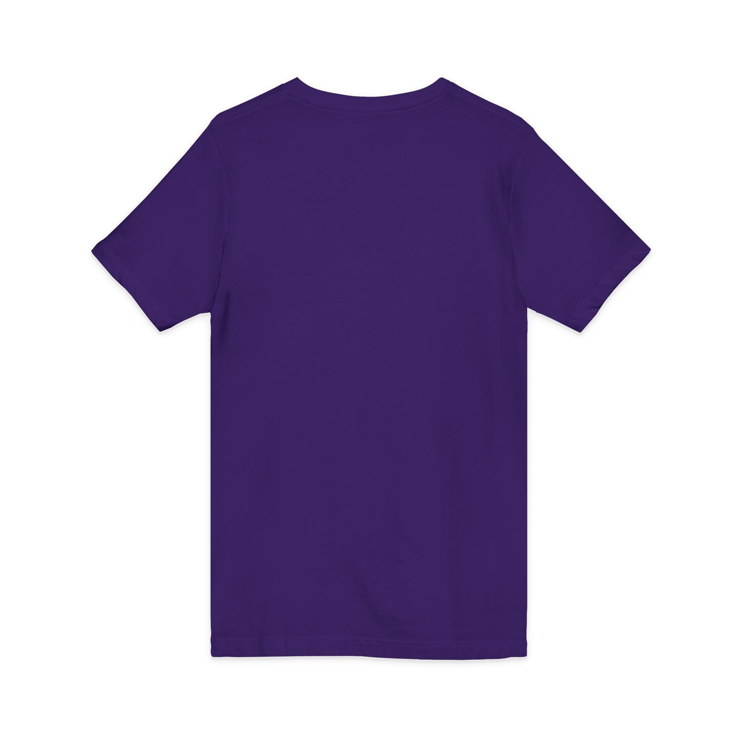 Delaware DELife V-Neck Tee