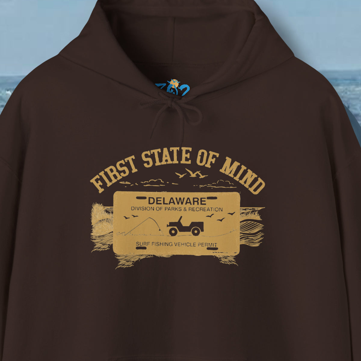 Delaware First State of Mind Surf Fishing Hoodie Dark