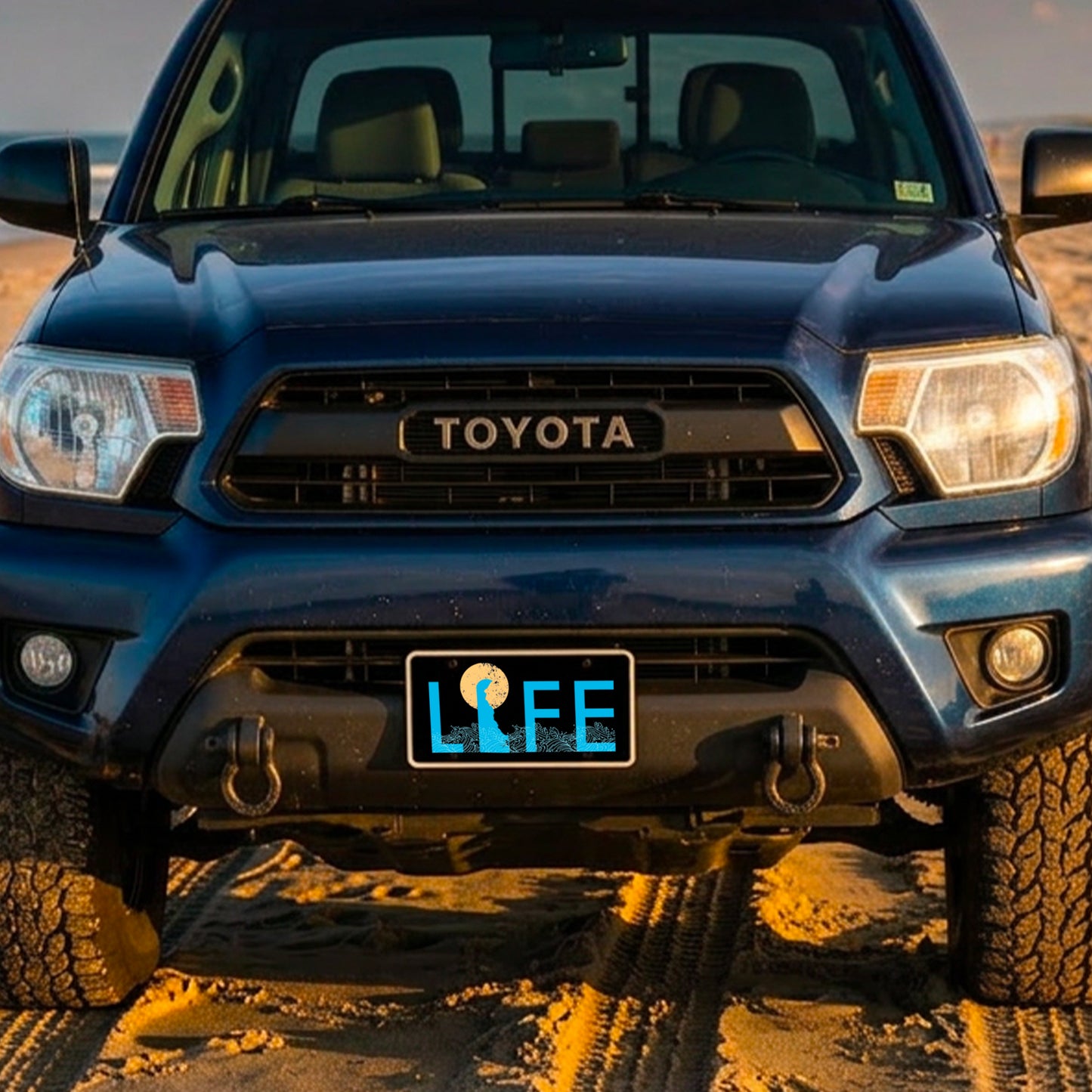 Original Delaware LIFE Vanity Plate