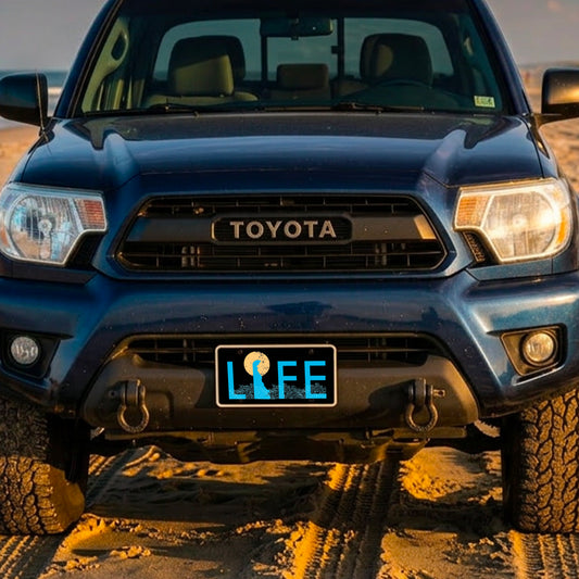 Original Delaware LIFE Vanity Plate