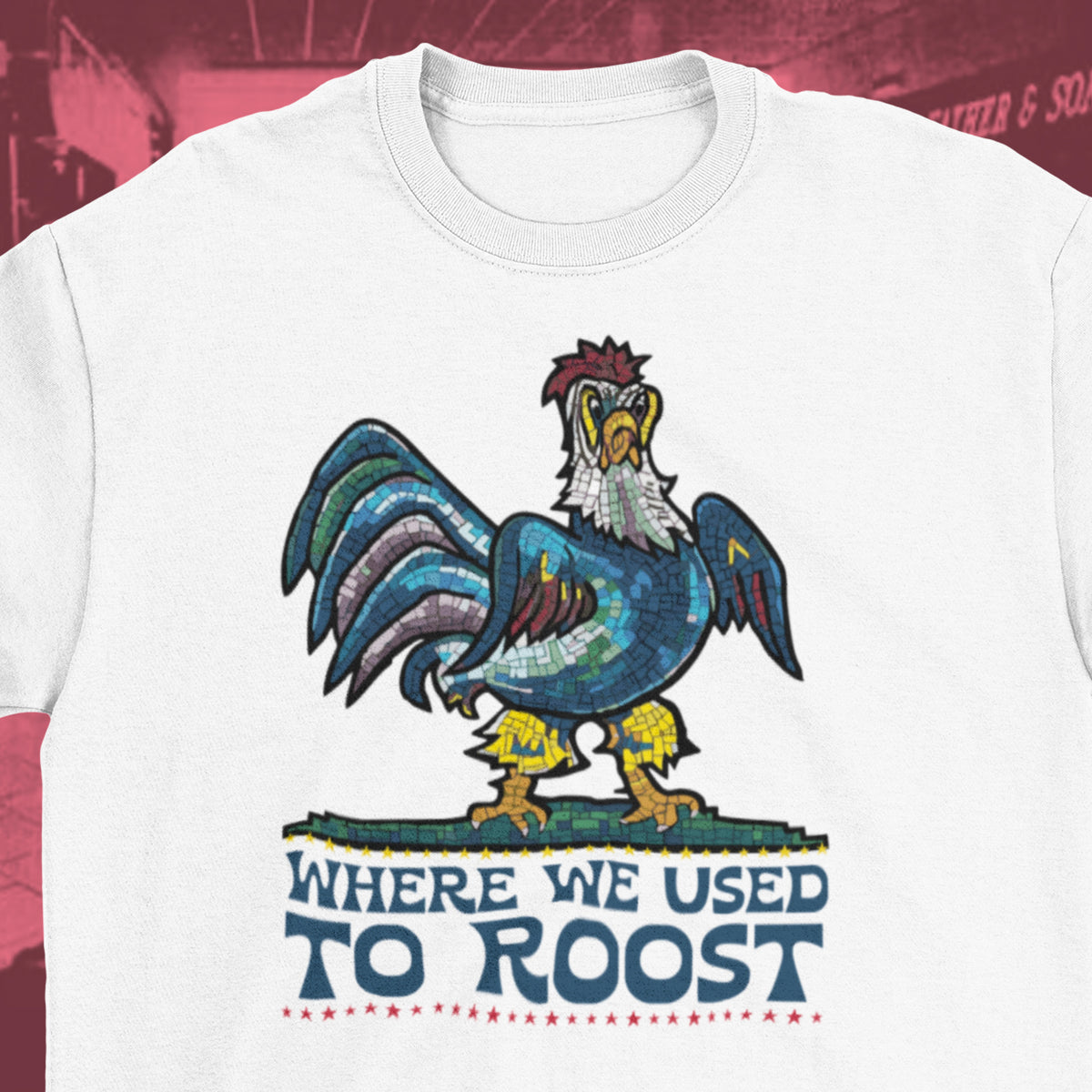 Where We Used To Roost - Dover Blue Hen Mall Tee