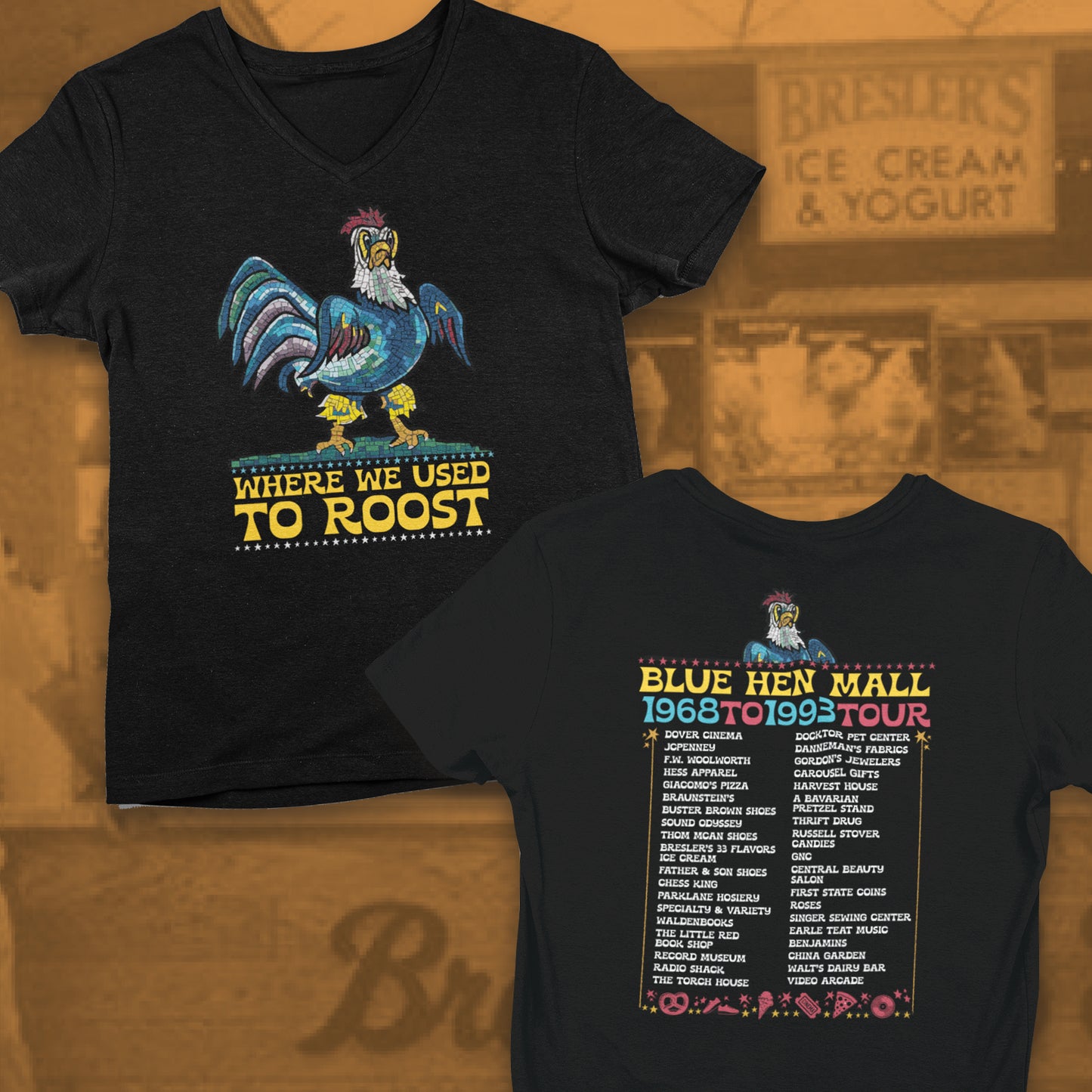 Where We Use To Roost - Delaware Blue Hen Mall Tour V-Neck Tee