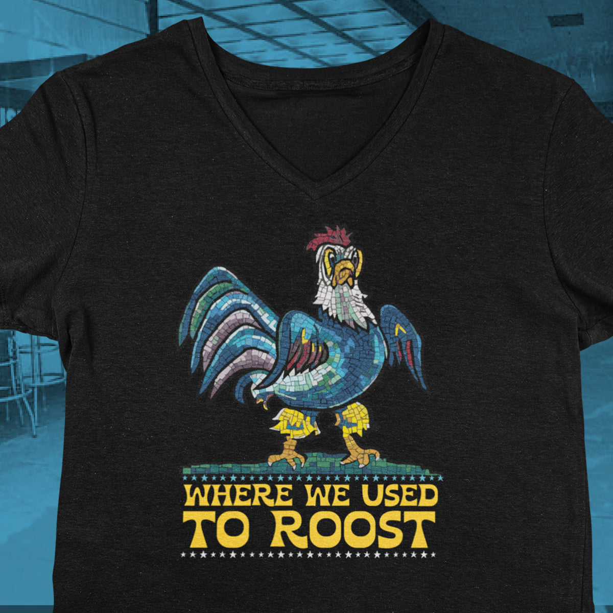 Where We Use To Roost - Dover Blue Hen Mall V-Neck Tee