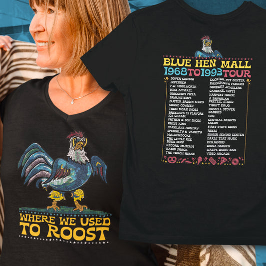 Where We Use To Roost - Dover Blue Hen Mall V-Neck Tee