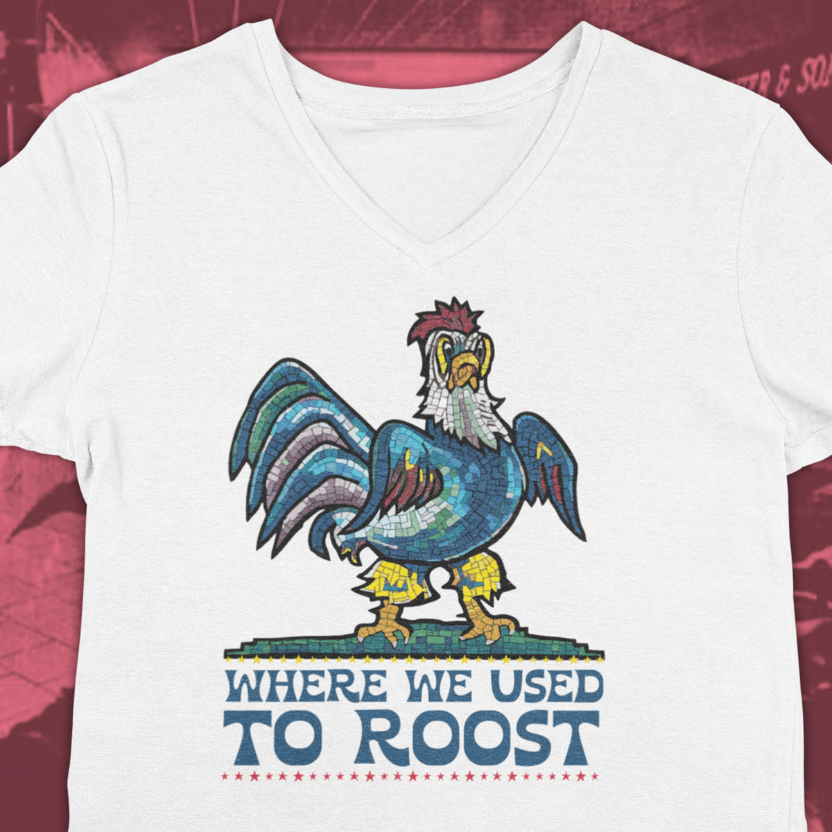 Where We Used To Roost - Dover Blue Hen Mall V-Neck Tee