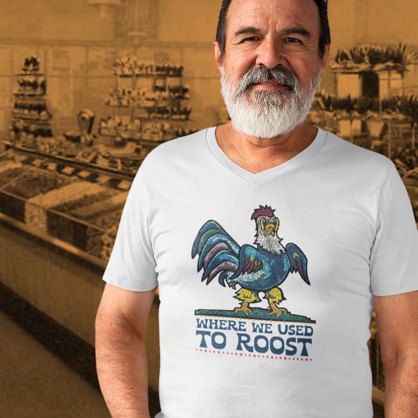 "Where We Used To Roost" Delaware Blue Hen Mall Tour V-Neck Tee
