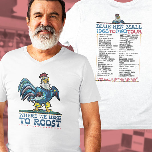 Where We Used To Roost - Dover Blue Hen Mall V-Neck Tee
