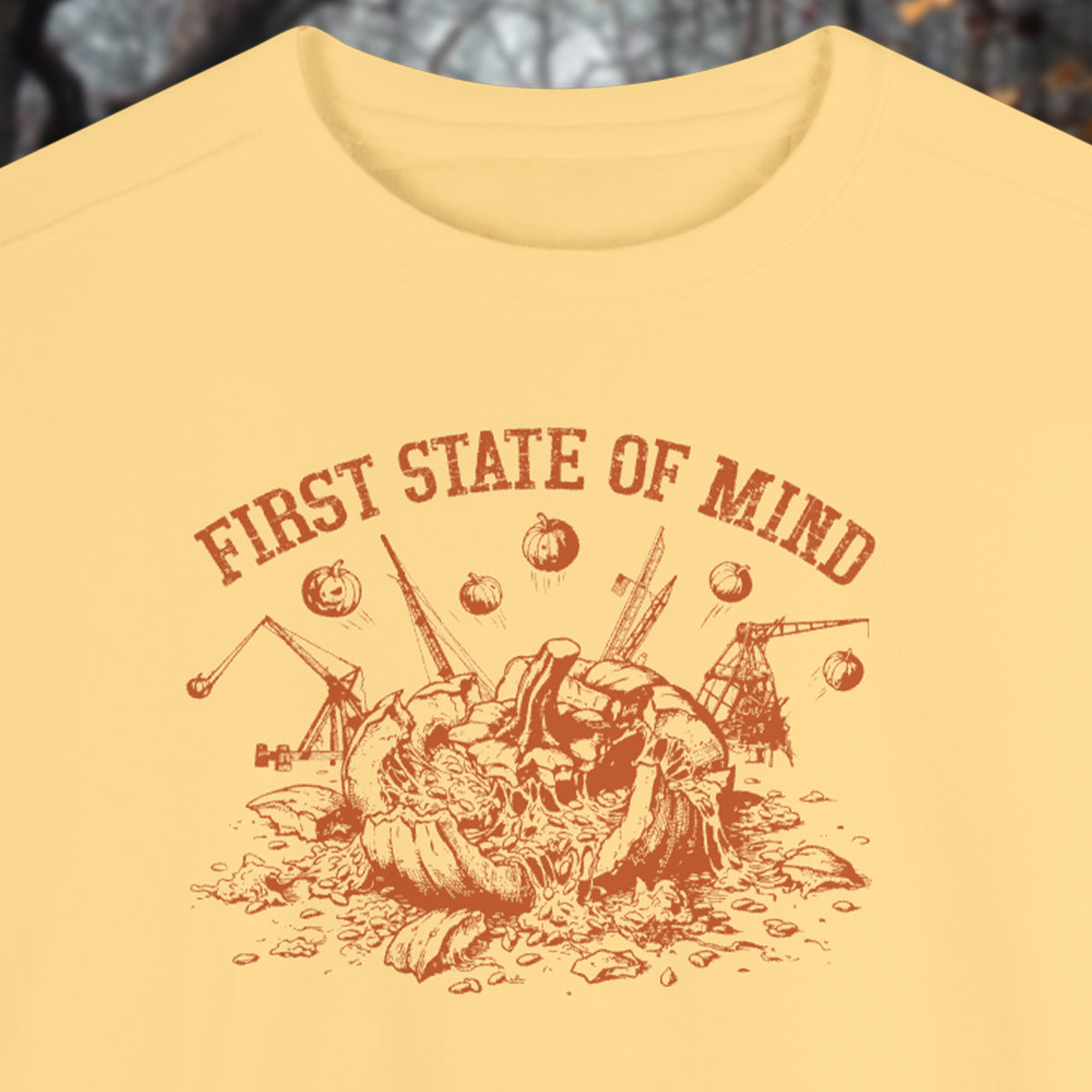 First State of Mind Delaware Pumpkin Chunkin Sweat Shirt