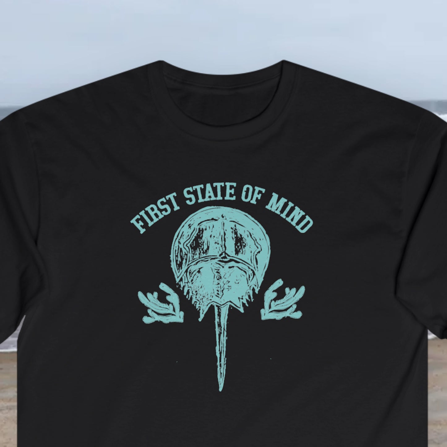 Delaware First State of Mind Horse Shoe Crab Cotton Long Sleeve Tee